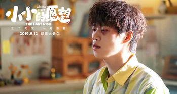 小小愿望在线视频,一场关于梦想与成长的温馨之旅